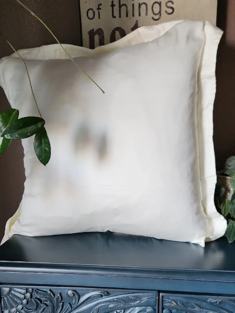 Quince Giza Cotton Sateen Euro Sham, Ivory, NWOT